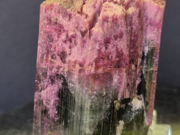 Rubellite Virgem