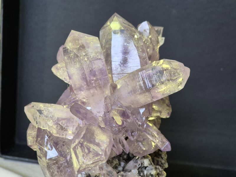 Améthyste violette Mexique