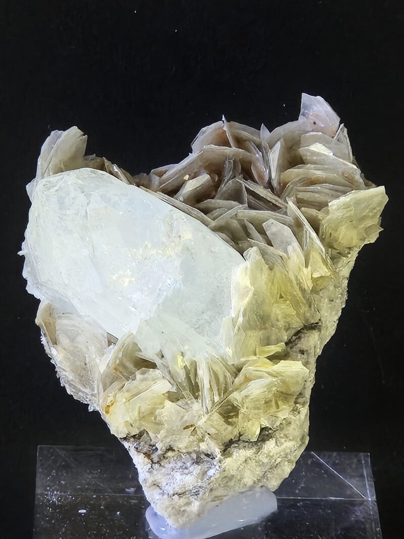 Aigue Marine Chine