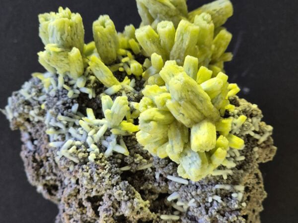 Pyromorphite var Plubogummite