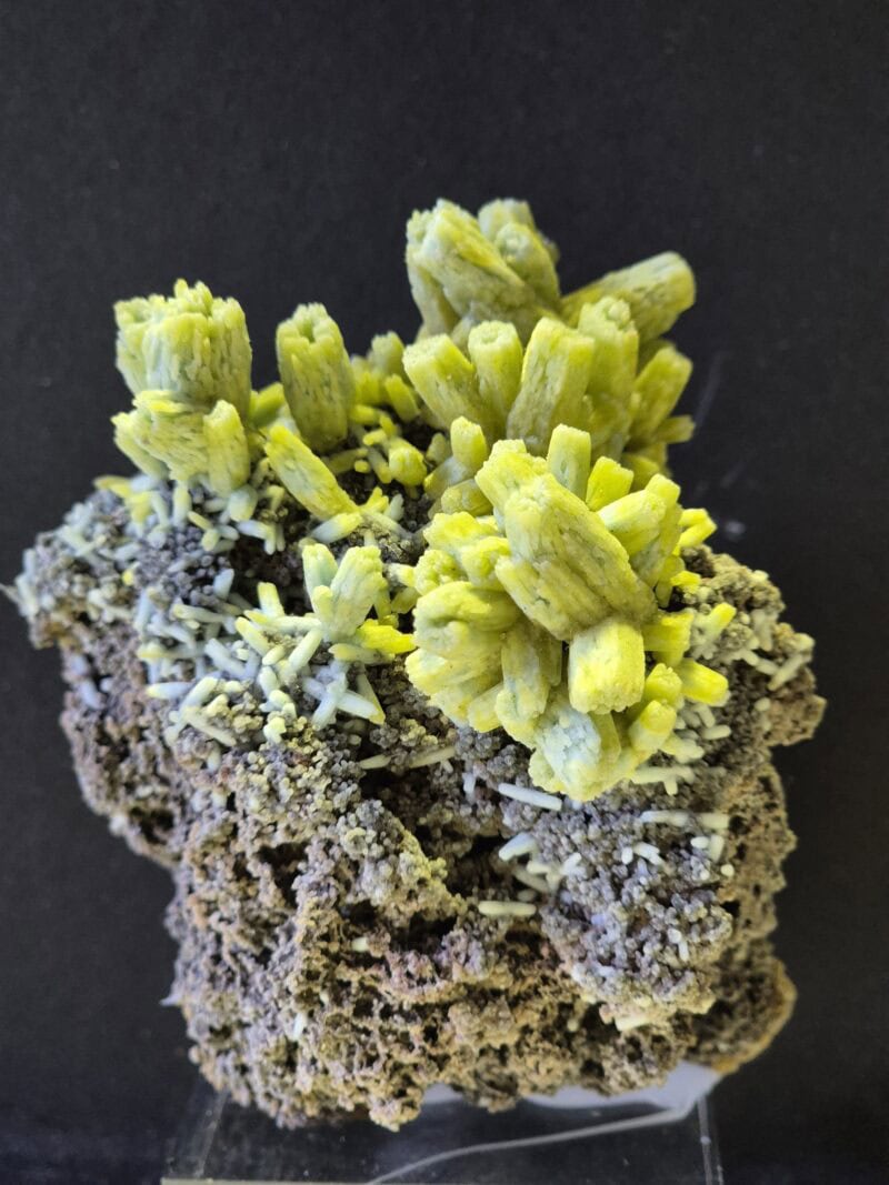 Pyromorphite var Plubogummite