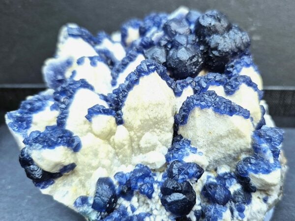 Fluorine bleue Mongolie