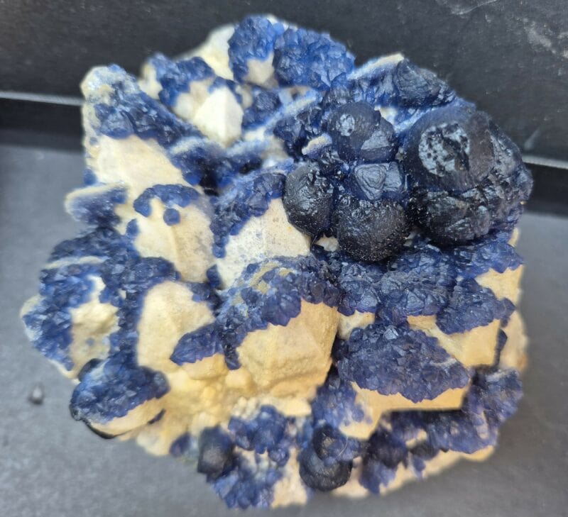 Fluorine bleue Mongolie