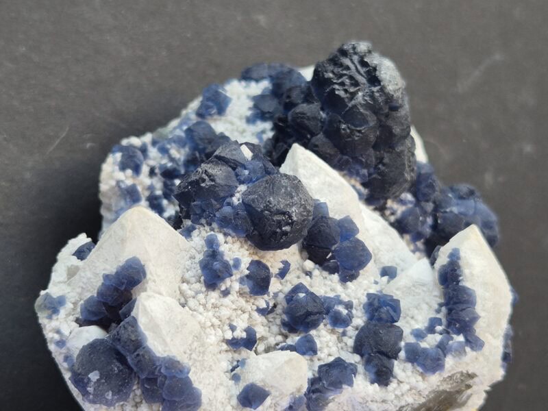 Fluorine bleue Mongolie