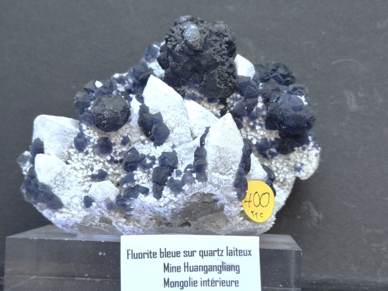 Fluorine bleue Mongolie