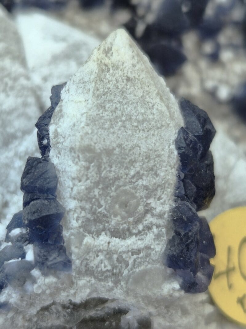 Fluorine bleue Mongolie