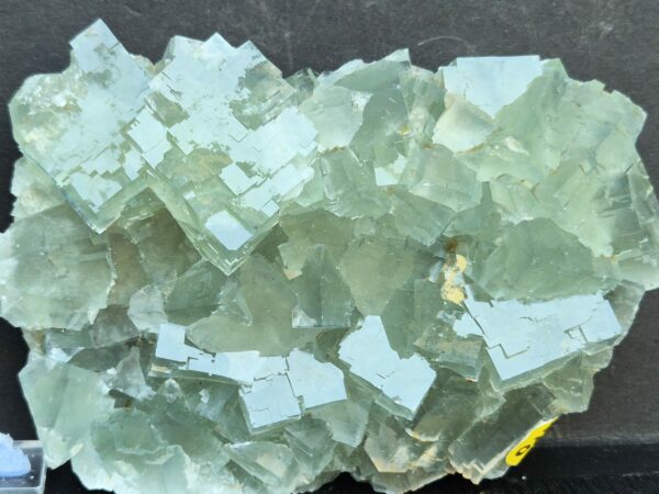 Fluorine bleue extra Beijing
