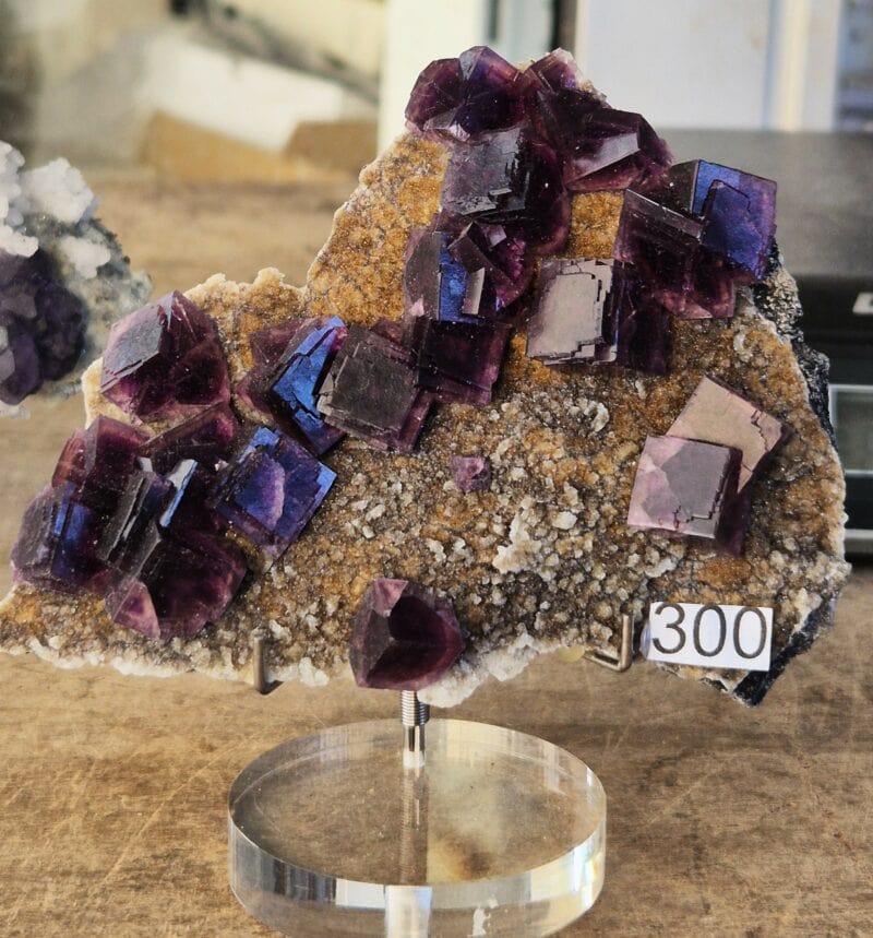 Fluorine Anhui
