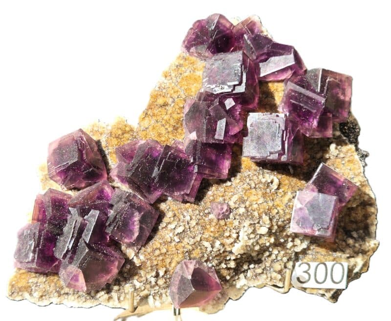 Fluorine Anhui