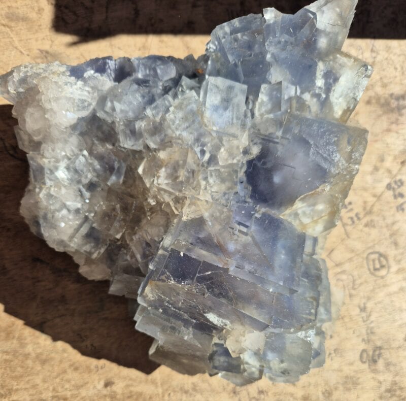Fluorine bleue du Burc