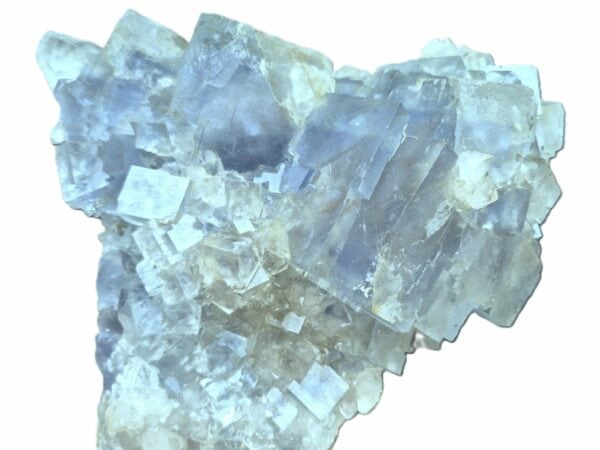 Fluorine bleue du Burc