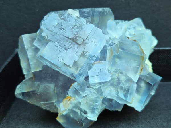 Fluorine bleue du Tarn