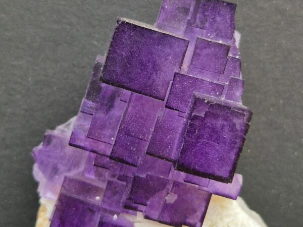 Fluorine violette Akesu