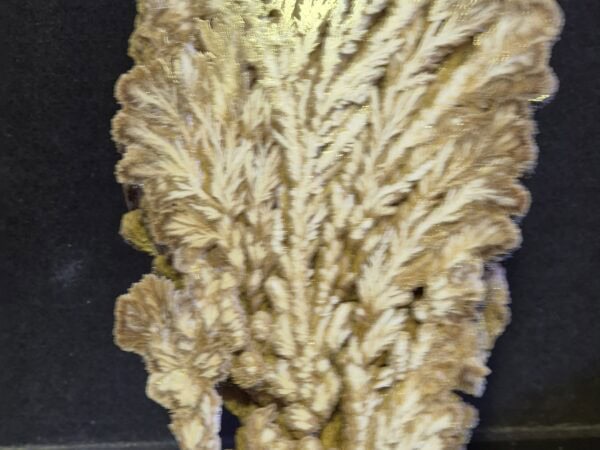Baryte Pologne