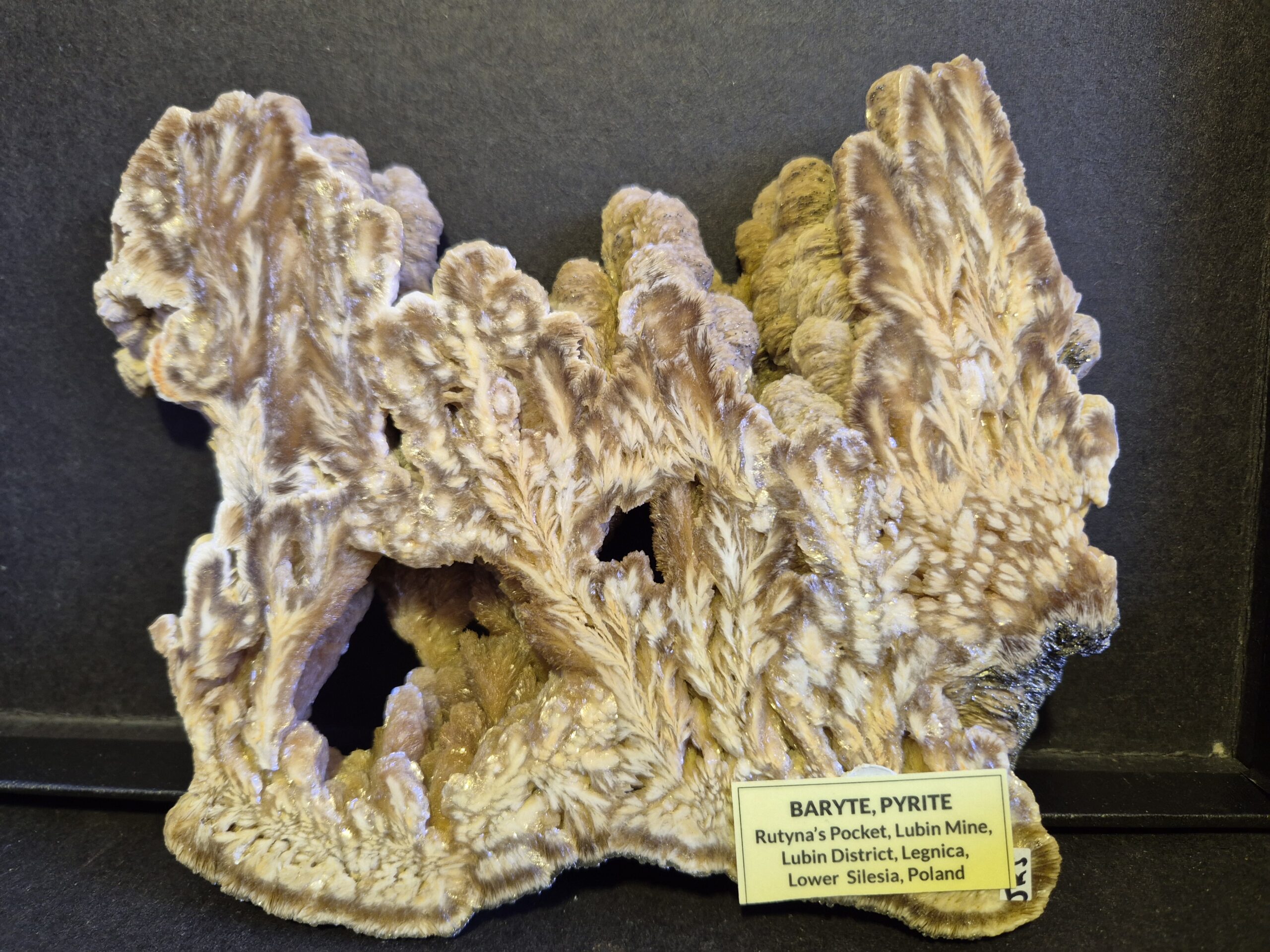 Baryte Pologne polie