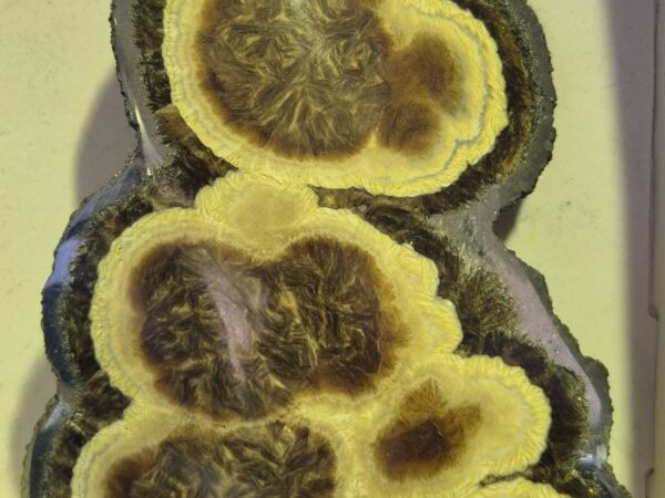 Baryte Marcassite