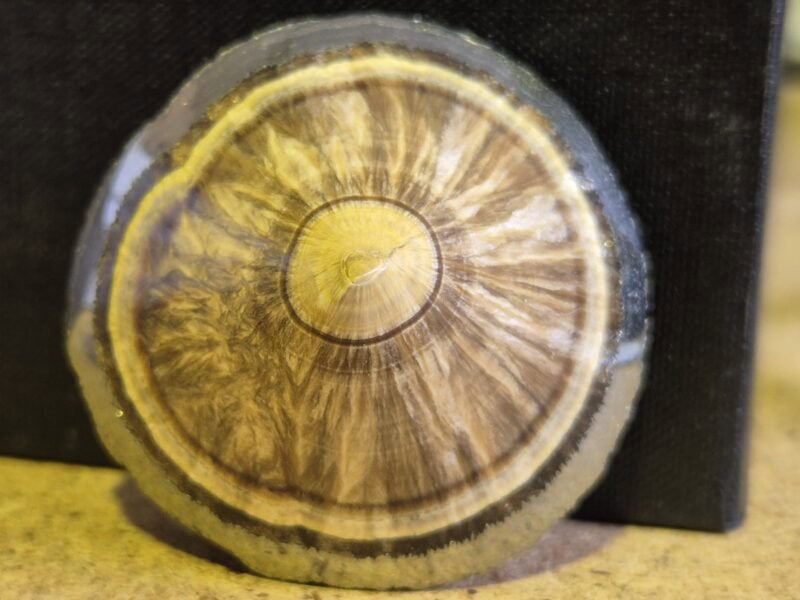 Baryte Marcassite Silesie