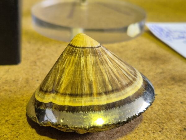 Baryte Marcassite Silesie