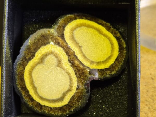 Baryte botryoidale