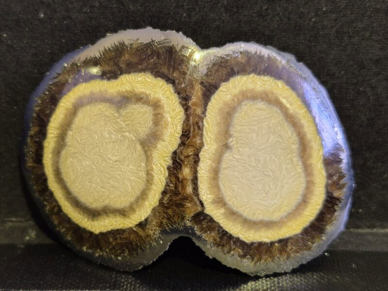 Baryte botryoidale