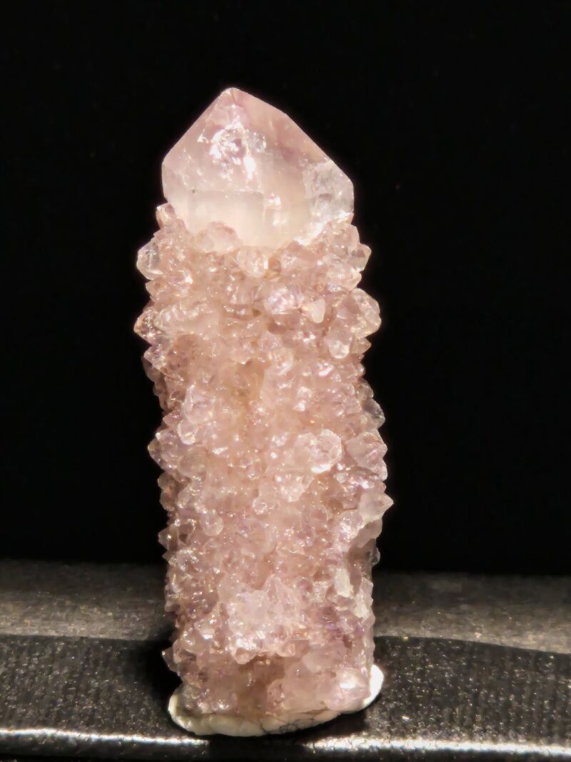Cactus quartz pointe fine