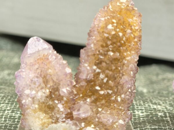 Cactus quartz Afrique du Sud