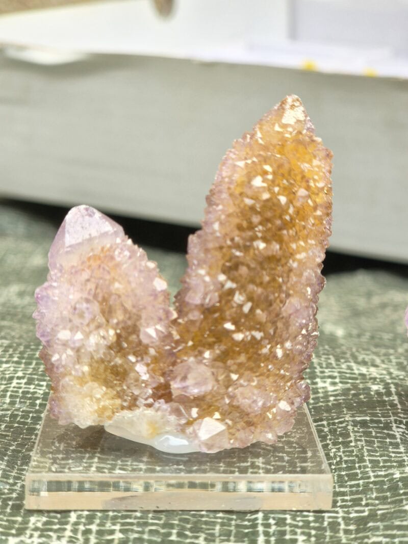 Cactus quartz Afrique du Sud