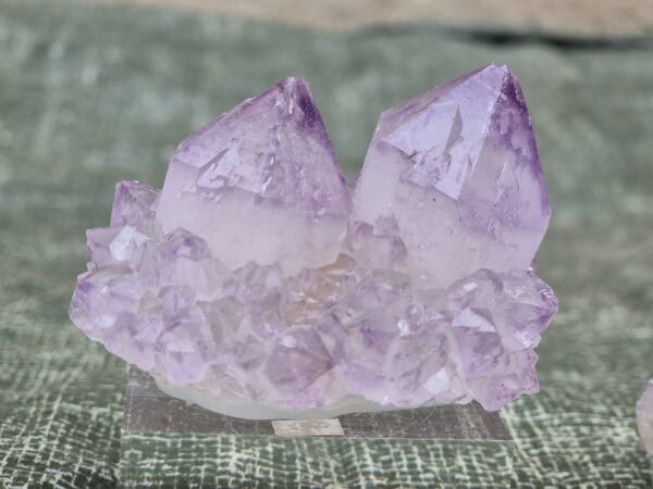 Cactus quartz amethyste
