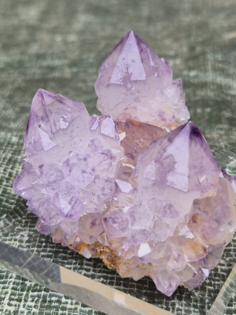 Cactus quartz cristaux