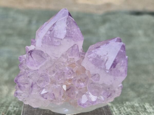 Quartz cactus Afrique du Sud