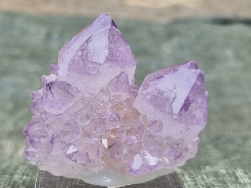 Quartz cactus Afrique du Sud