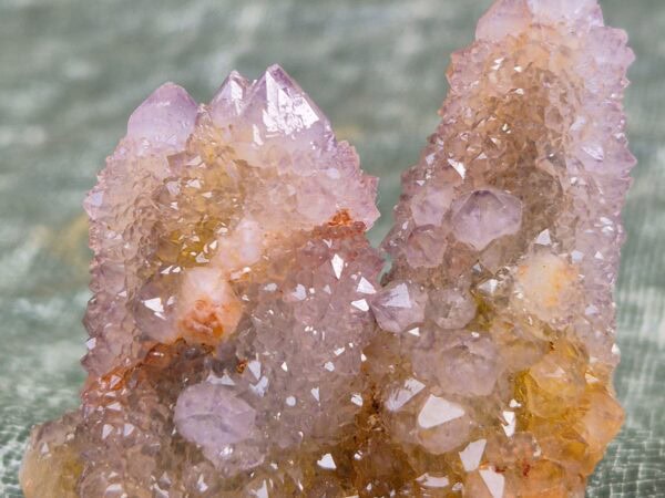 Quartz cactus Mpumalanga