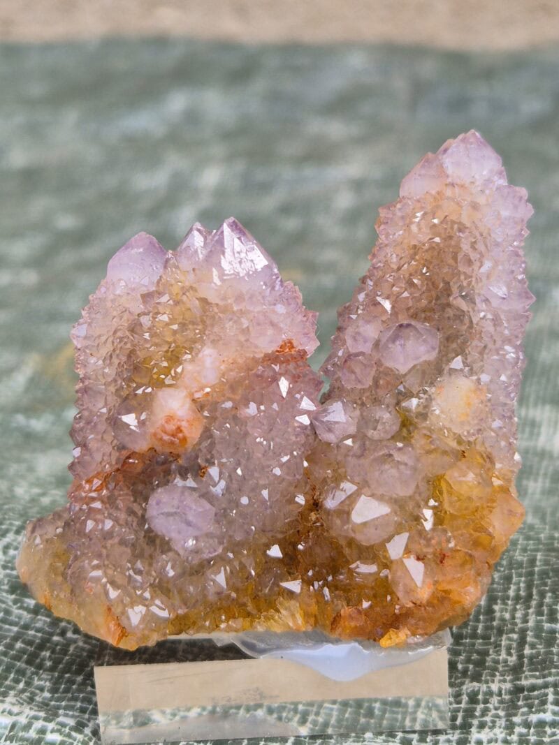 Quartz cactus Mpumalanga