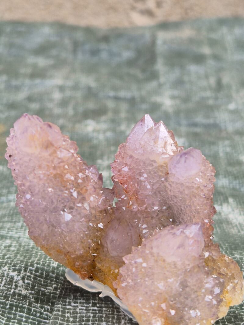 Quartz cactus Mpumalanga