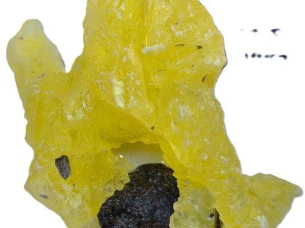 Brucite jaune Balochistan