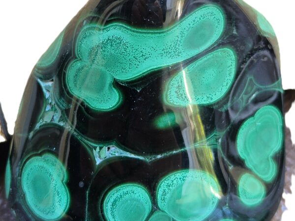 Malachite yeux verts