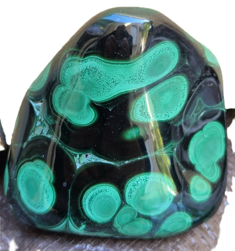 Malachite yeux verts