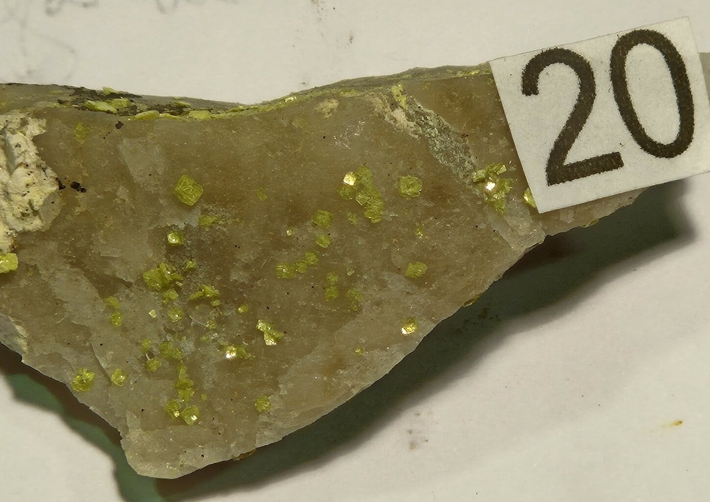 Autunite Uranium Portugal