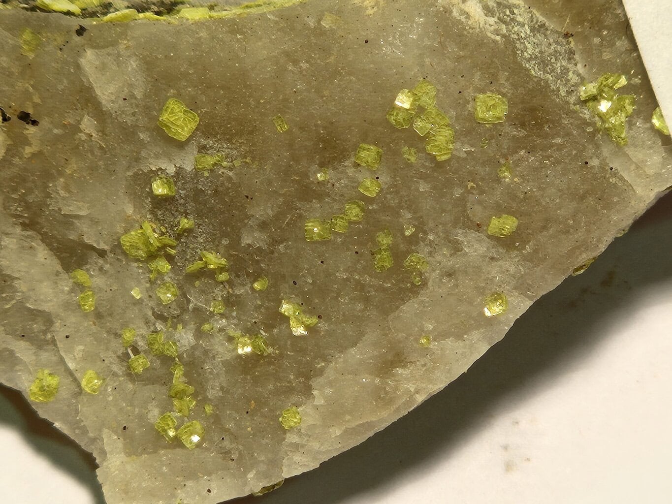 Autunite Uranium Portugal