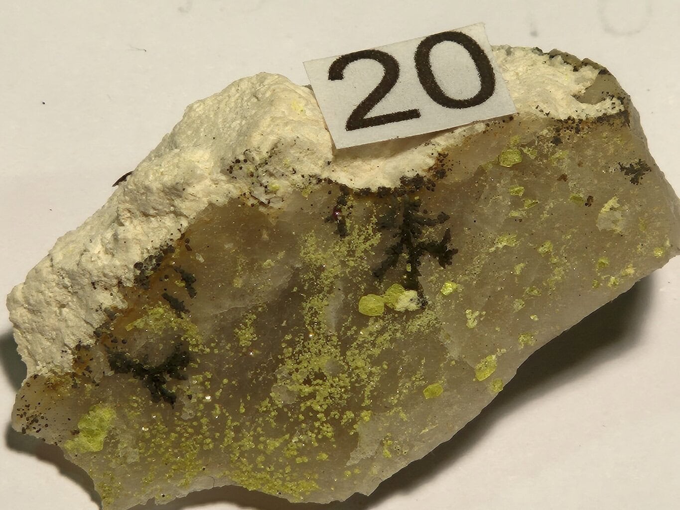Autunite Nova Satao Portugal