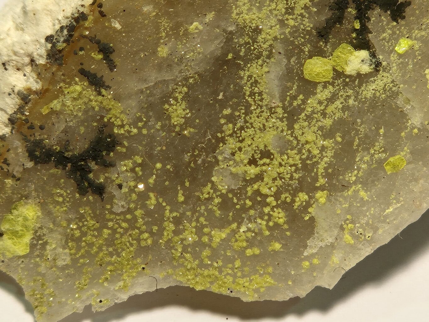 Autunite Nova Satao Portugal