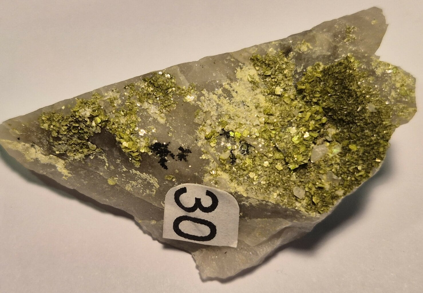 Autunite uranifère
