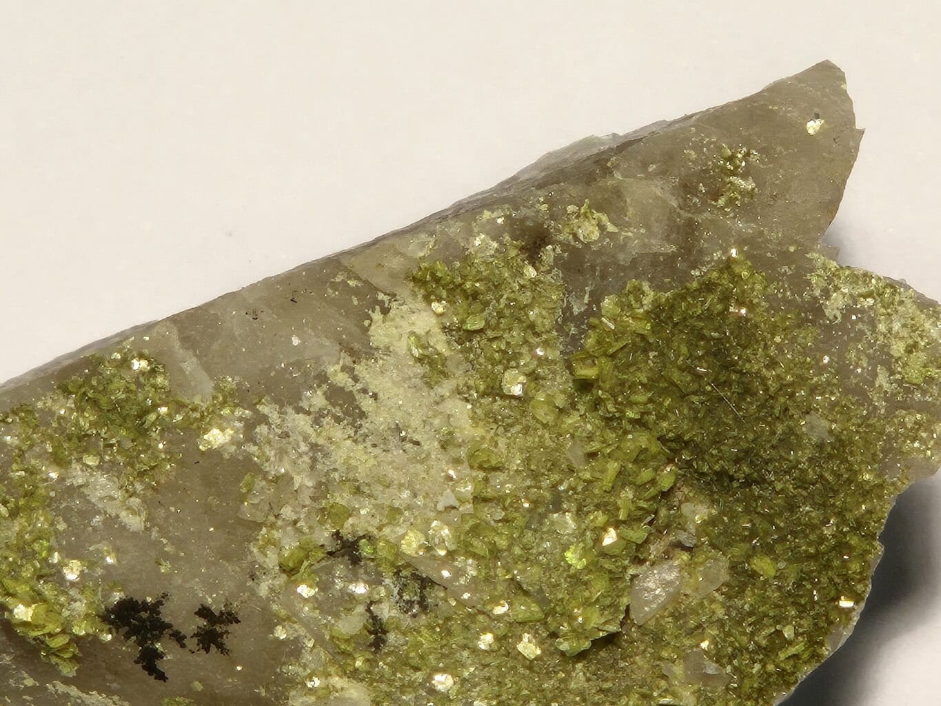 Autunite uranifère