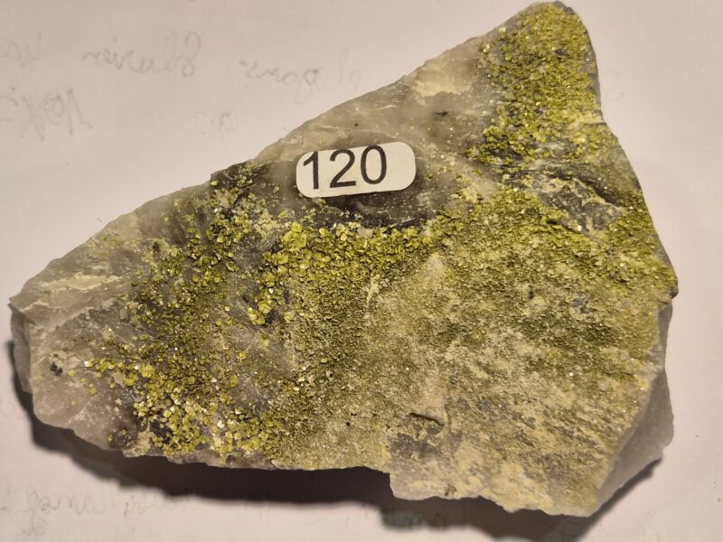 Autunite 2