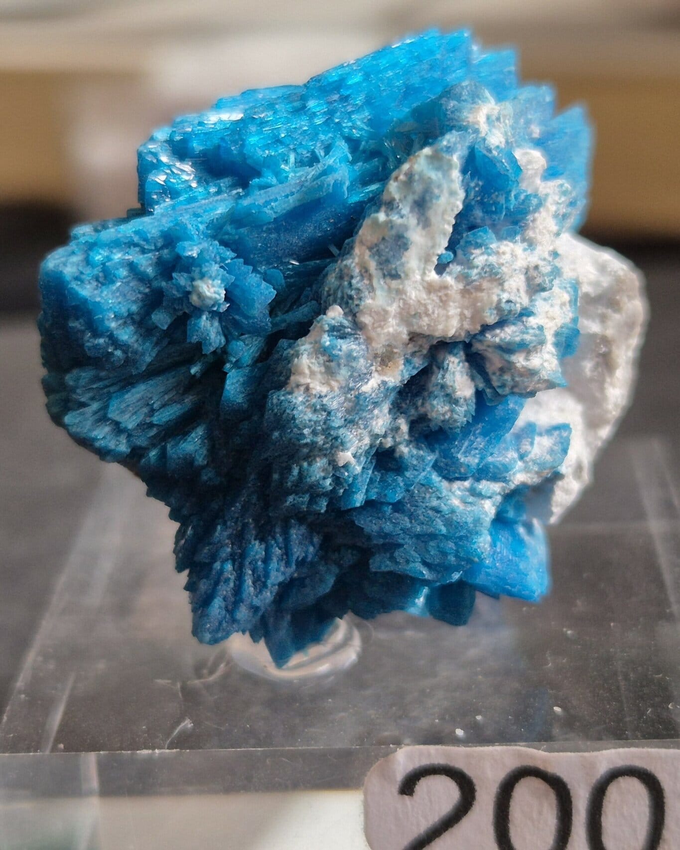 Pentagonite Wagholi