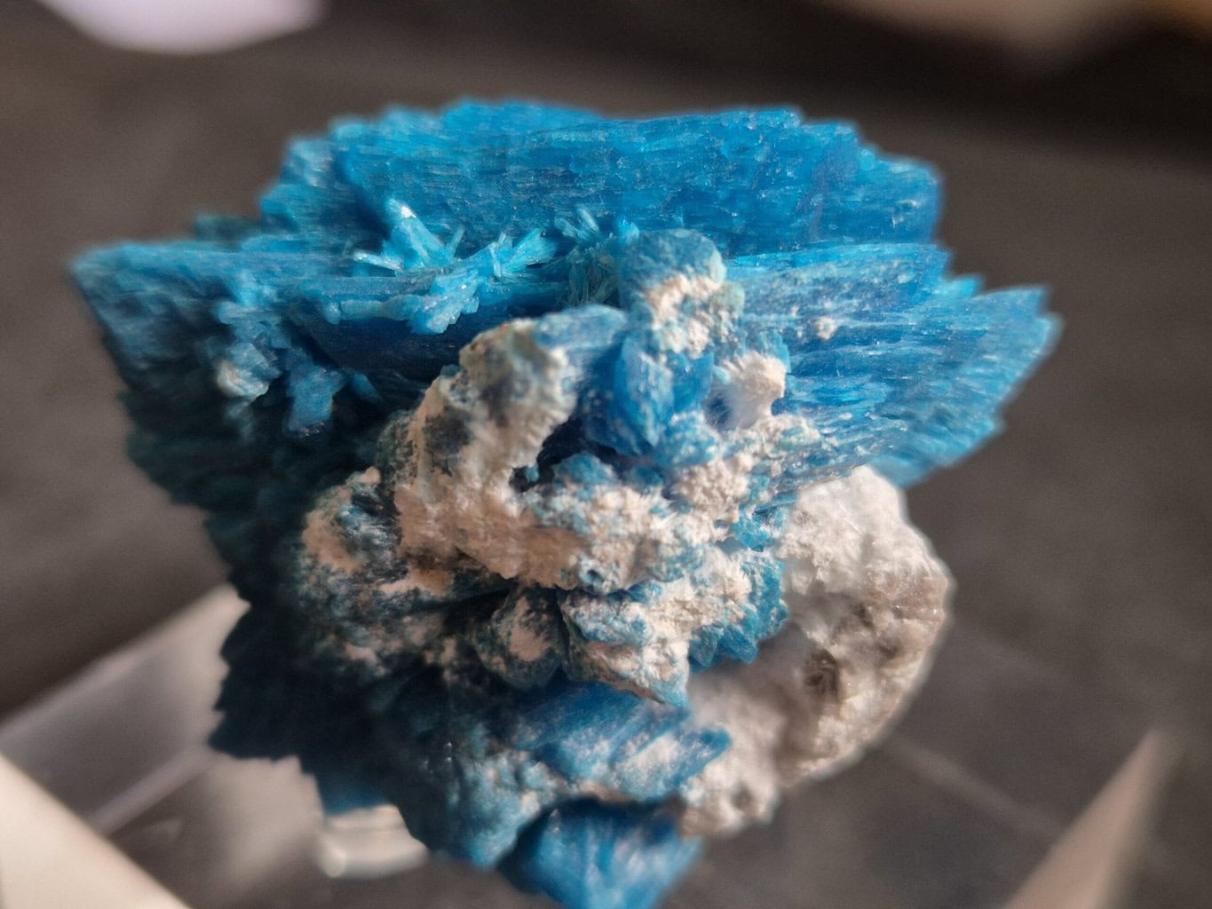 Pentagonite Wagholi