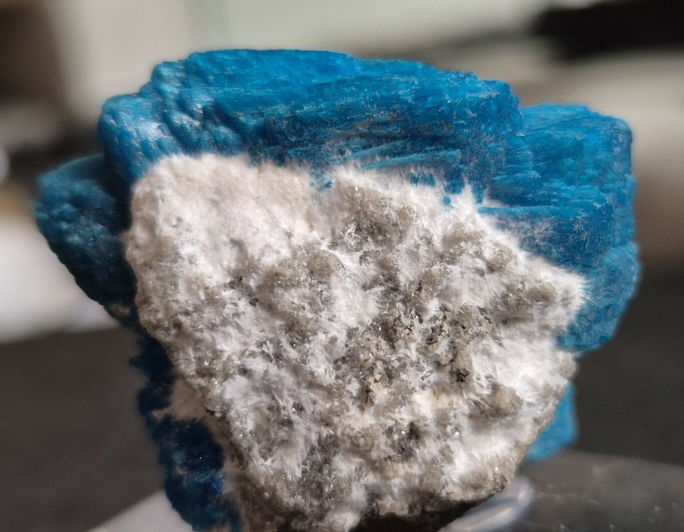 Pentagonite Wagholi – Image 4
