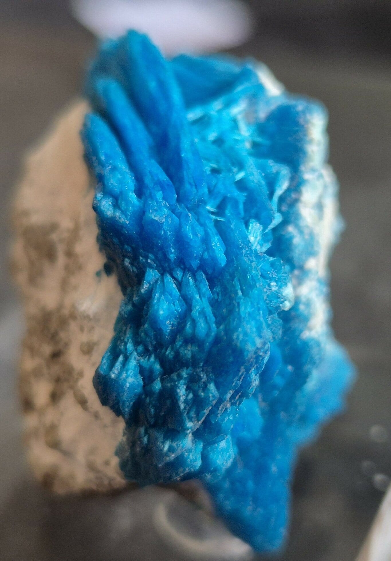 Pentagonite Wagholi – Image 3