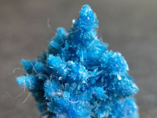 Pentagonite Inde