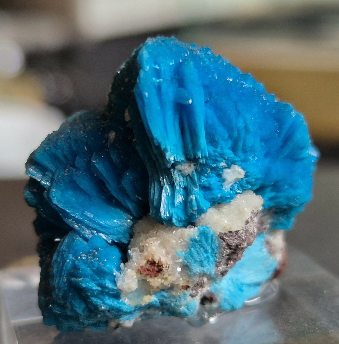 Cavansite Wagholi
